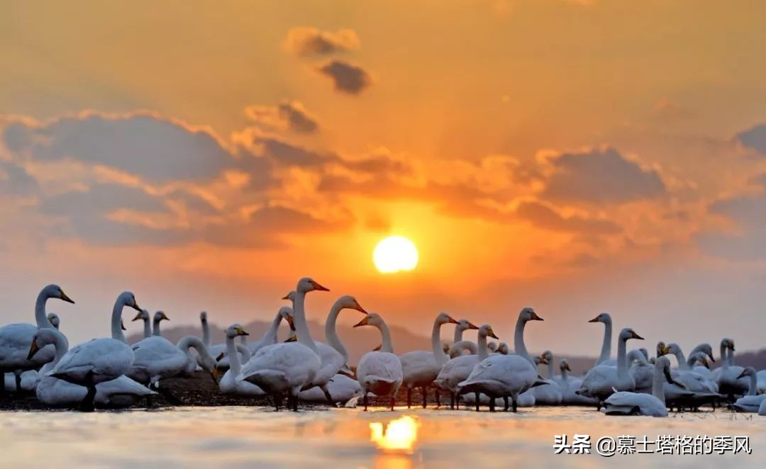 中国北方宜居的海边城市,中国北方宜居的海边县城