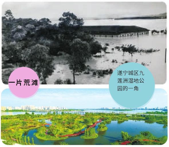 遂宁70年,四川遂宁70周岁补贴