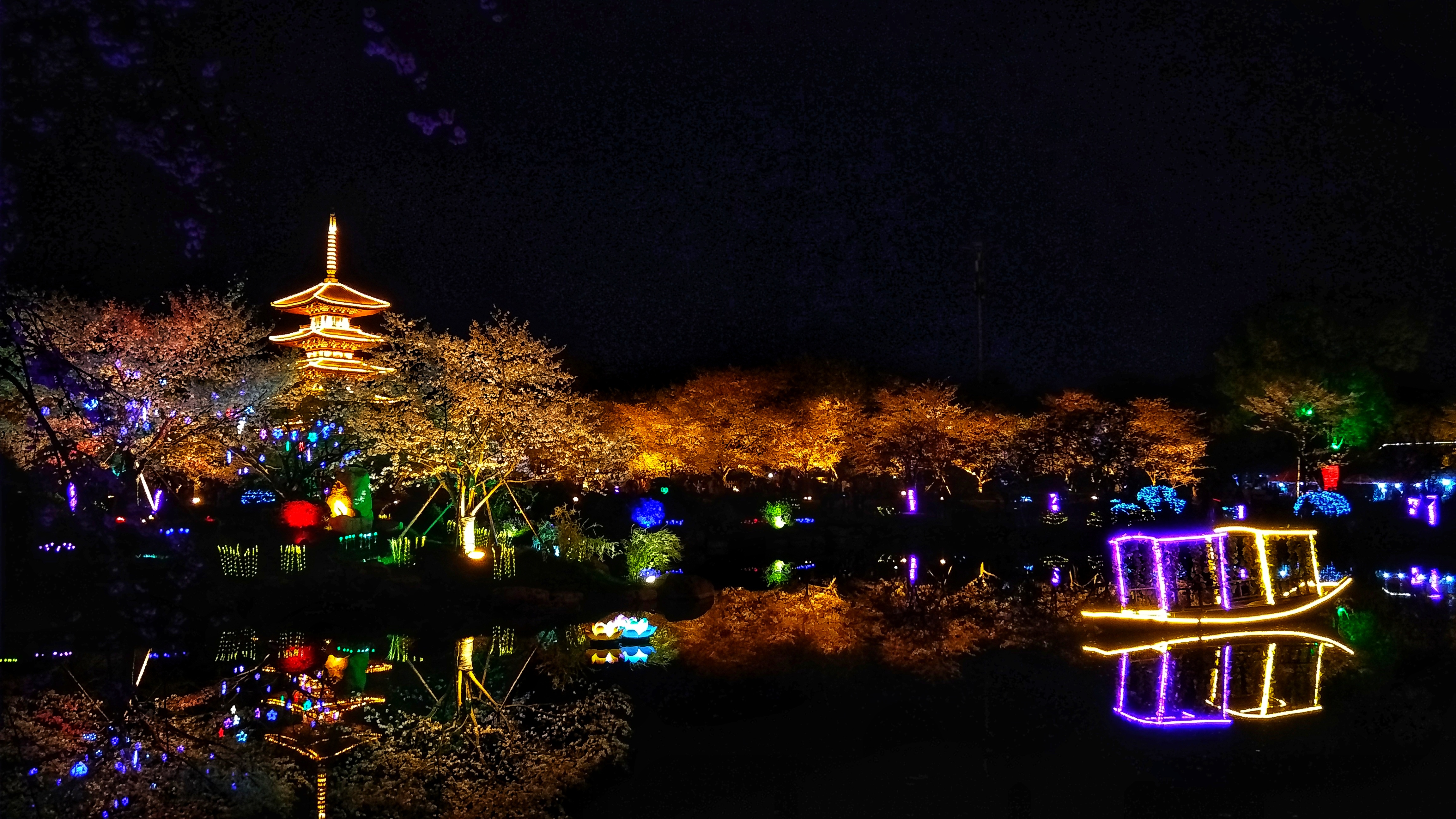 武汉赏樱之旅,武汉东湖樱园赏樱