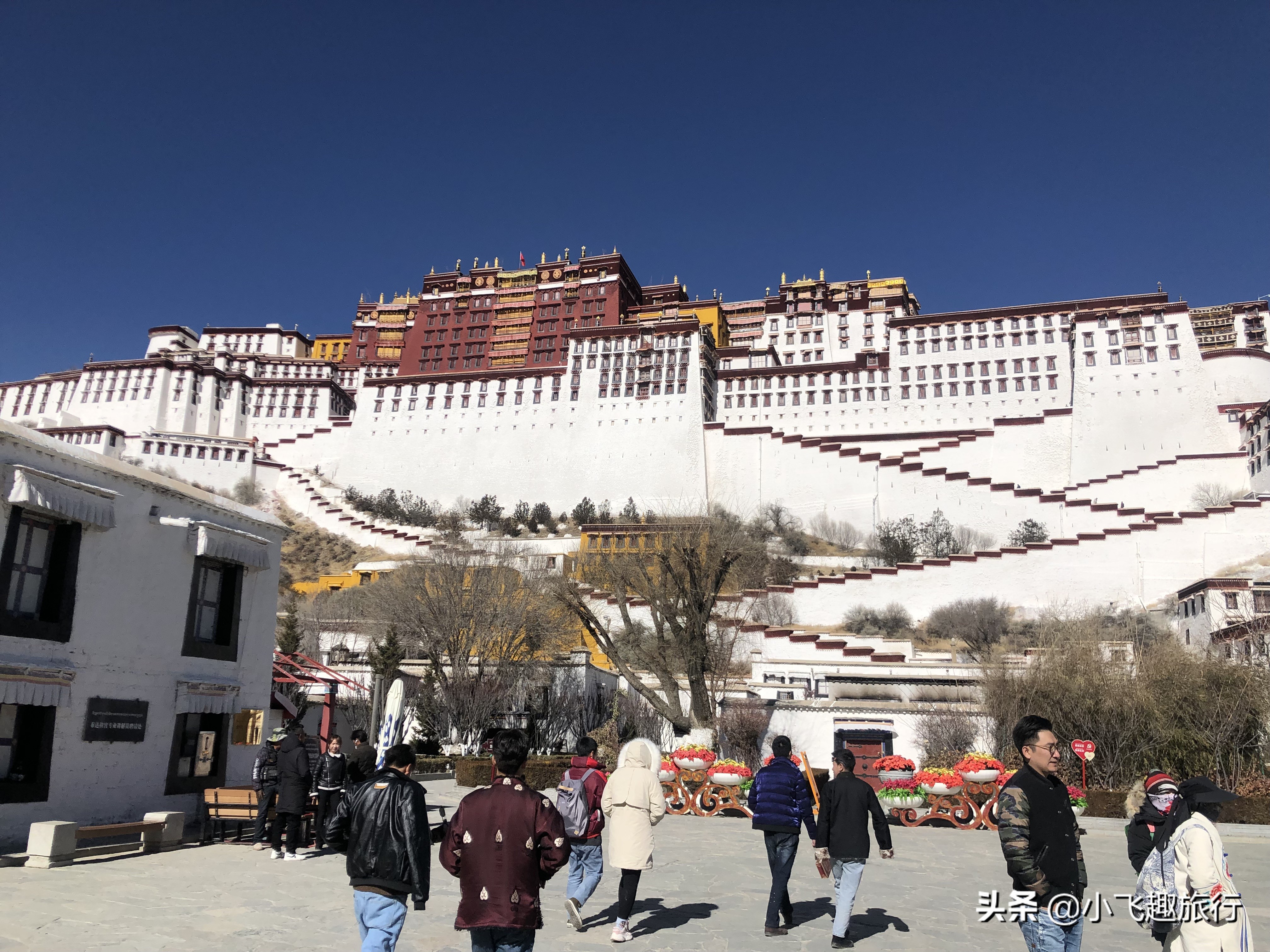 跟团游青海需要准备什么东西,跟随旅行团去西藏会高反吗