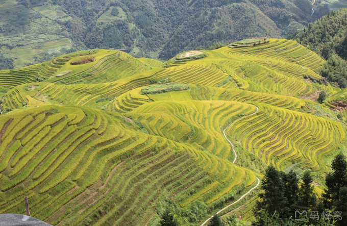 桂林旅游攻略必去景点龙脊梯田,桂林去龙脊梯田交通攻略