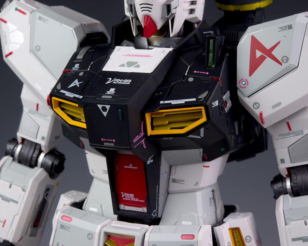 模玩评测揭皇榜,新人入坑模玩推荐