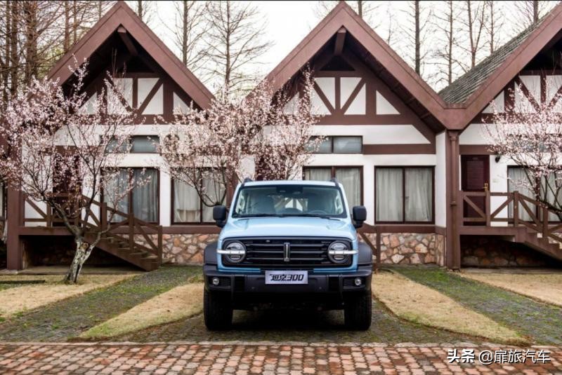 坦克300莫奈限量版和普通版区别 (坦克300莫奈限定版还会有吗)