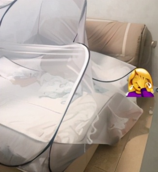 最新好用蚊帐推荐款有哪些,蚊帐哪种款式好用测评