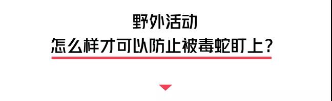 警惕蛇出没已有人被咬,在小区里被毒蛇咬伤小区有责任么