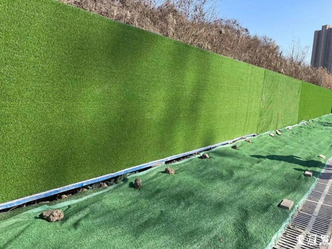 南京市环境综合整治,南京环境改善经验