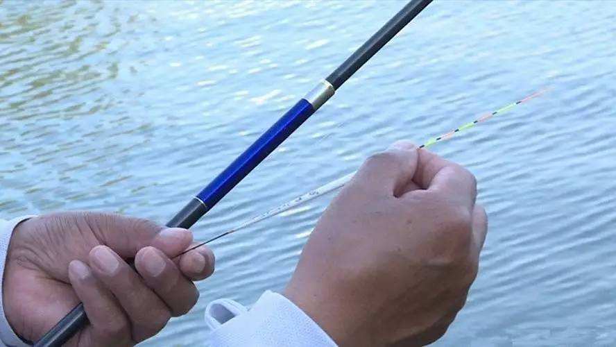 钓鱼浮漂的基本知识,钓鱼浮漂的真正知识