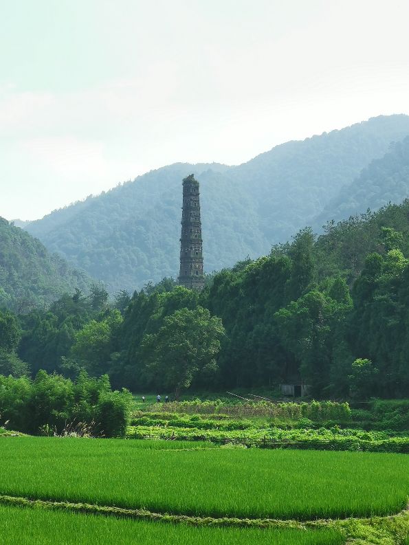 浙江观后感300字,关于浙江天台风景的作文