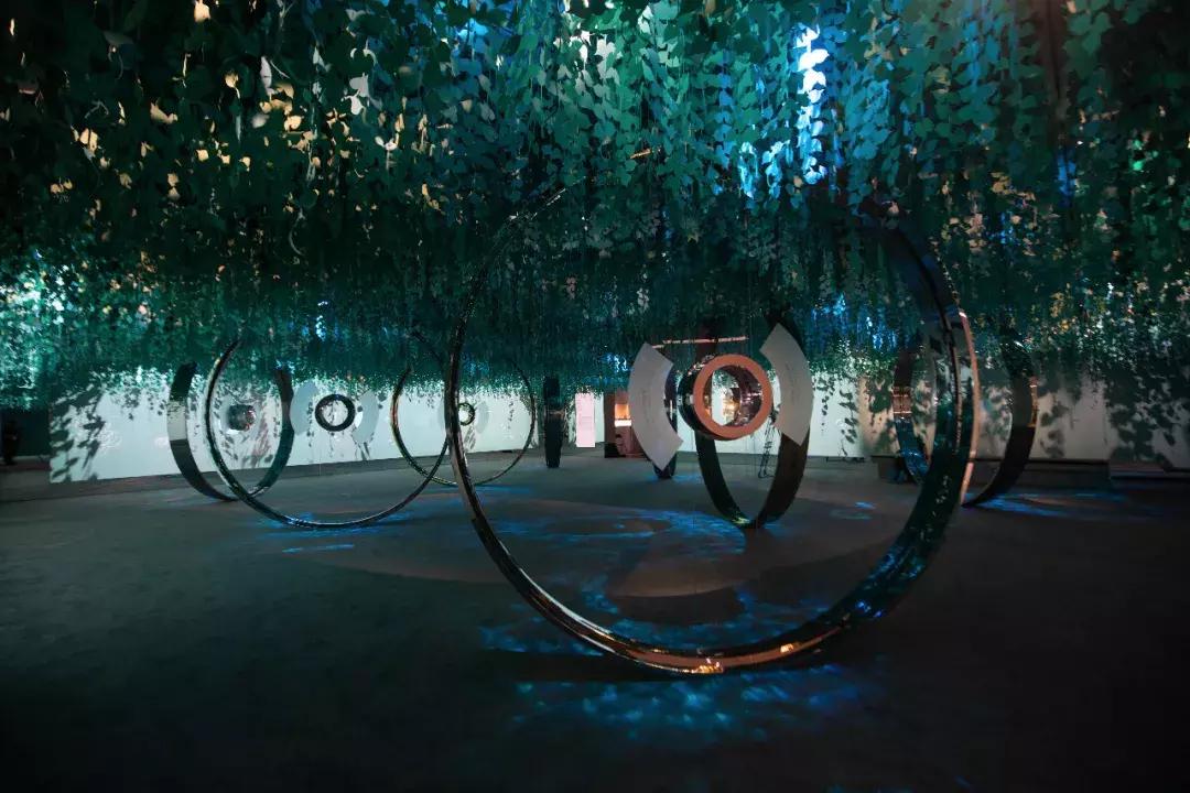 tiffany最美的时光,tiffany的美好时光