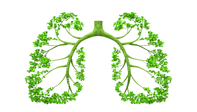 秋季养肺的穴位按摩方法,养肺护肝的艾灸穴位