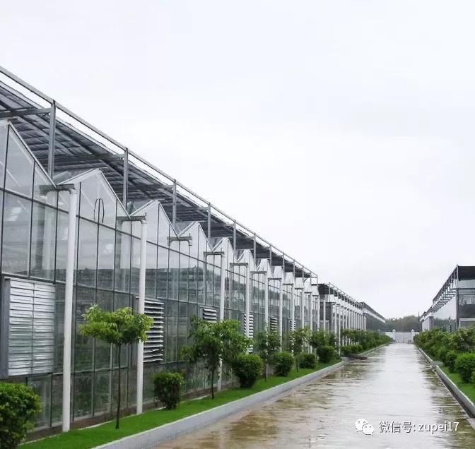 塑料圆拱形大棚,拱形温室大棚