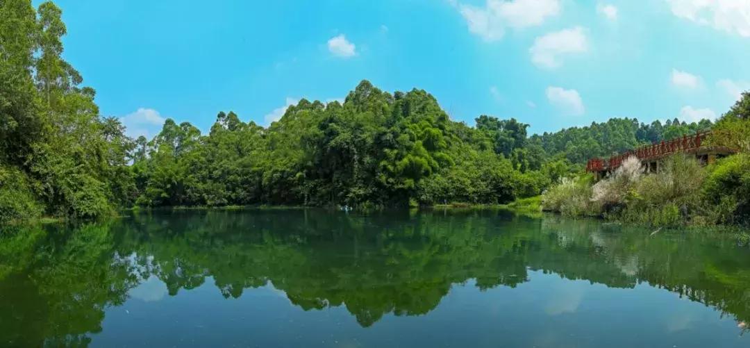 乐山市生态文明,庆祝新中国成立70周年特辑宣讲