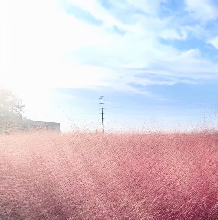 金的功用,金的功能主治