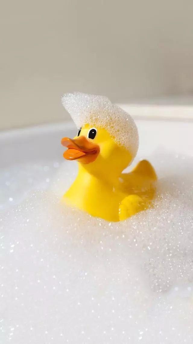 老虎壁纸超清4k手机壁纸iphone,iphone壁纸4k佛像壁纸