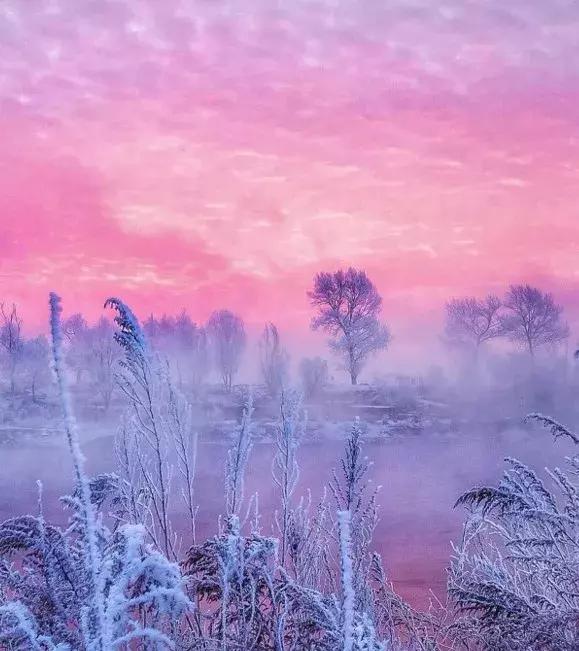 雾凇之美宛若仙境,连云港花果山雾凇美得像仙境