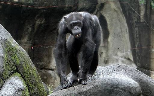 一个人的无名指长说明什么,无名指长是招财吗