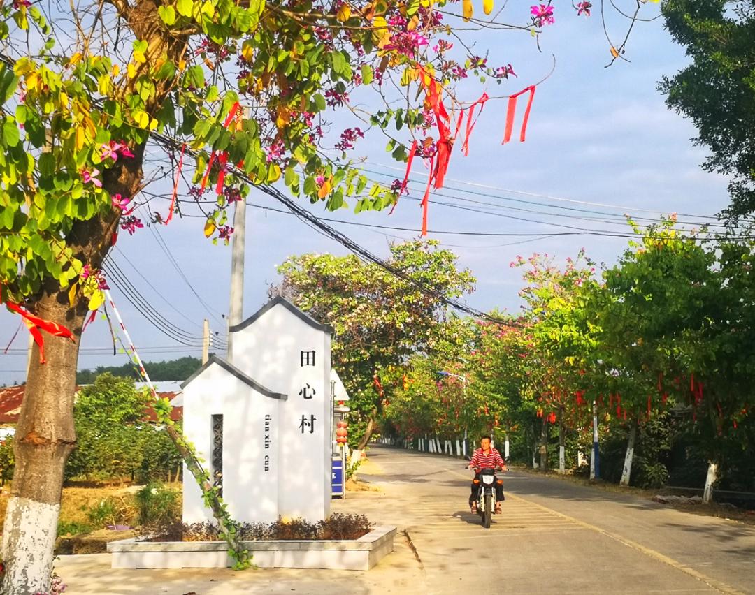 楹﹀厓鎽勫奖,楹﹀厓瑙嗛