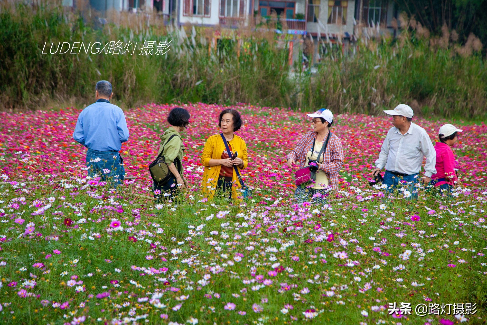 广西最适合养老的4个优美小城,广西适合养老的小城