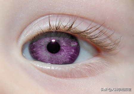 让你大开眼界的生物视频,大开眼界的新物种