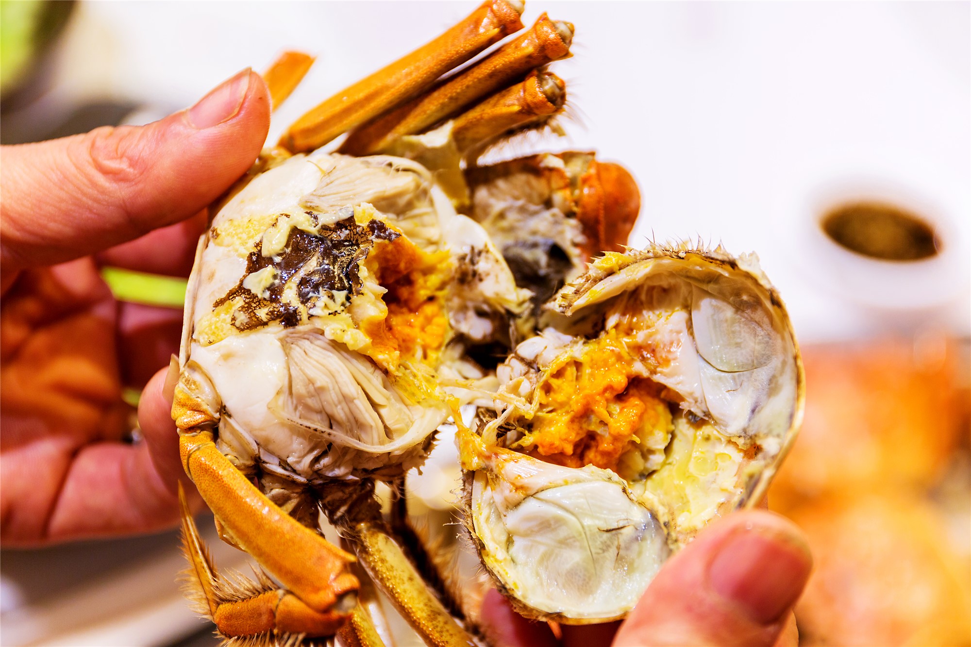 昆山出发二日游跟团游攻略,昆山吃大闸蟹一日游