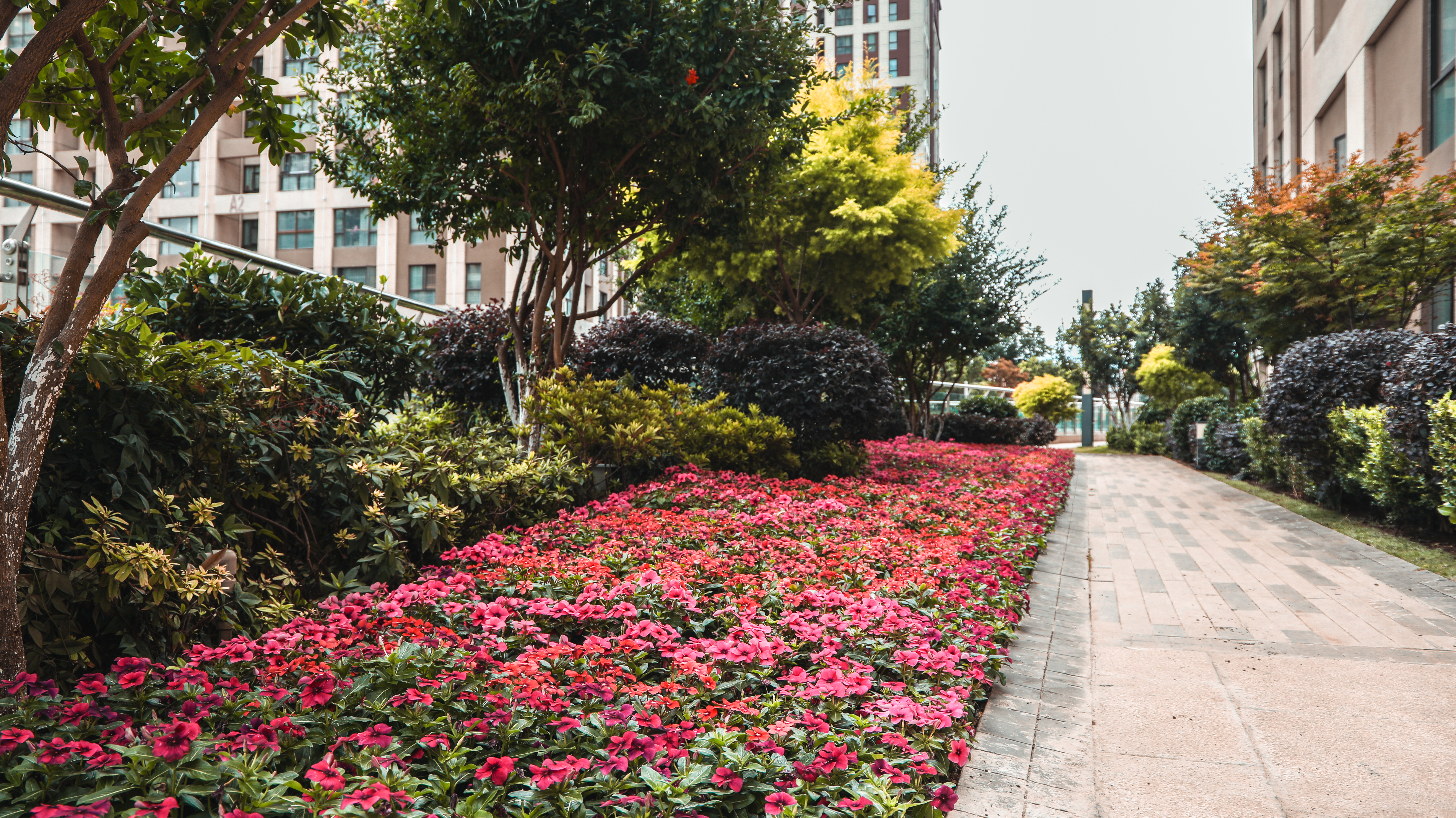 大理下关的真实感受,在大理下关生活是什么感觉