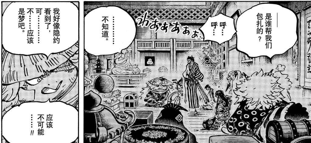 海贼王1007集免费观看完整版,海贼王1007话罗宾