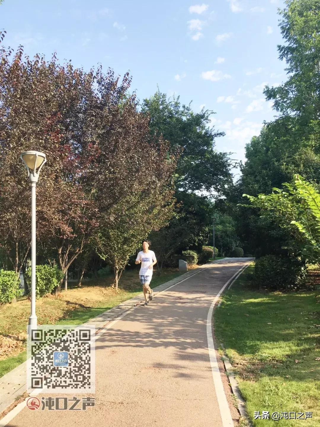 武汉卓尔足球公园,武汉王家墩足球公园