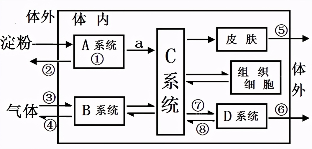 八年级生物中考新突破2024年,生物八年级上册达标测试卷
