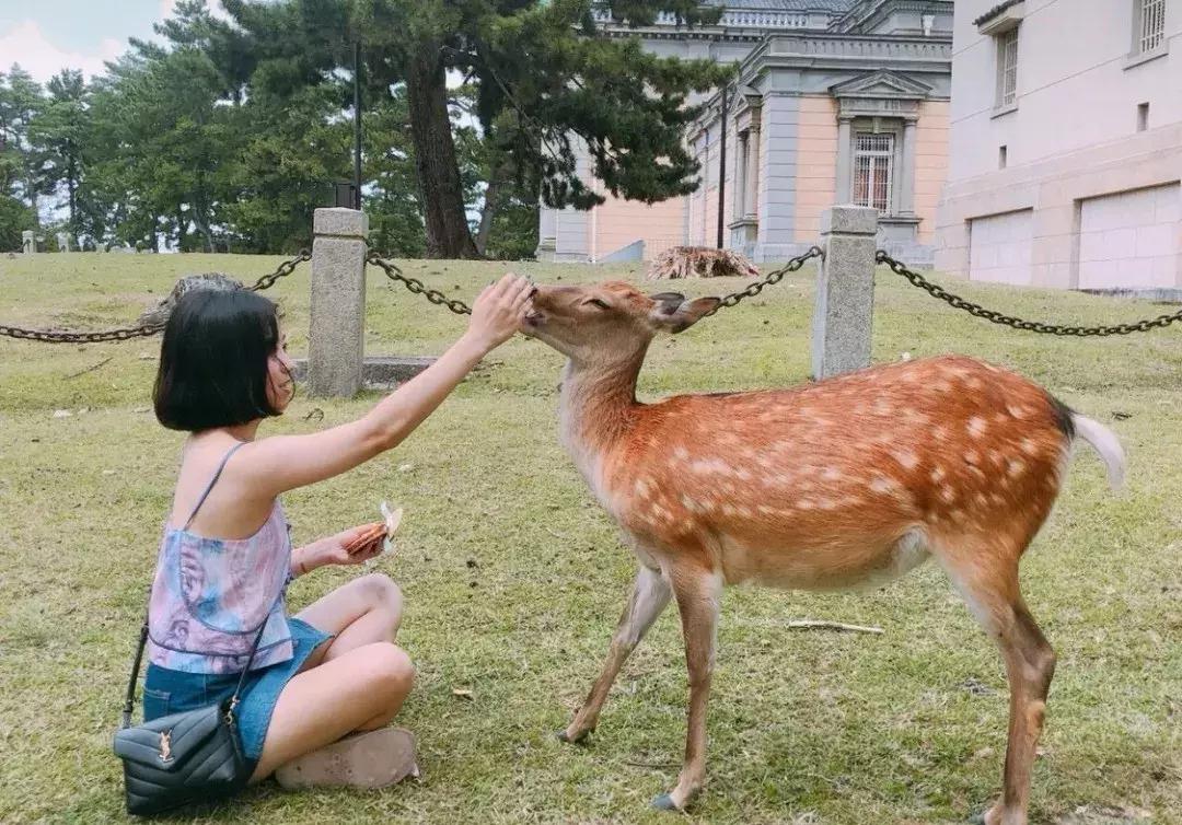 ysl圣罗兰粉底免税店价格,ysl圣罗兰免税店价格