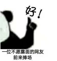 方舟指令缔结誓灵,方舟指令誓灵选择