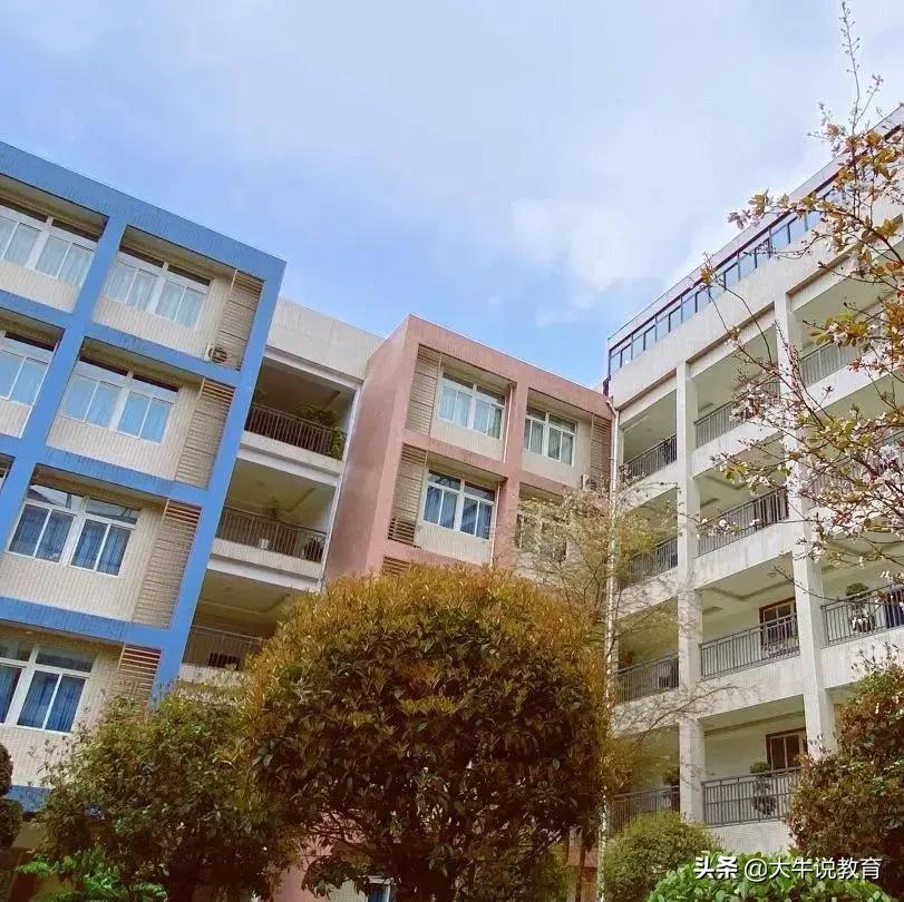 两江新区优质学区房来袭，未来发展了不起，快抢占优秀资源