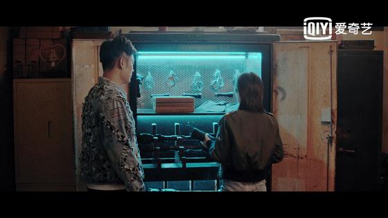 动物管理局陈赫王子文搞笑花絮,动物管理局陈赫用心灵分辨王子文