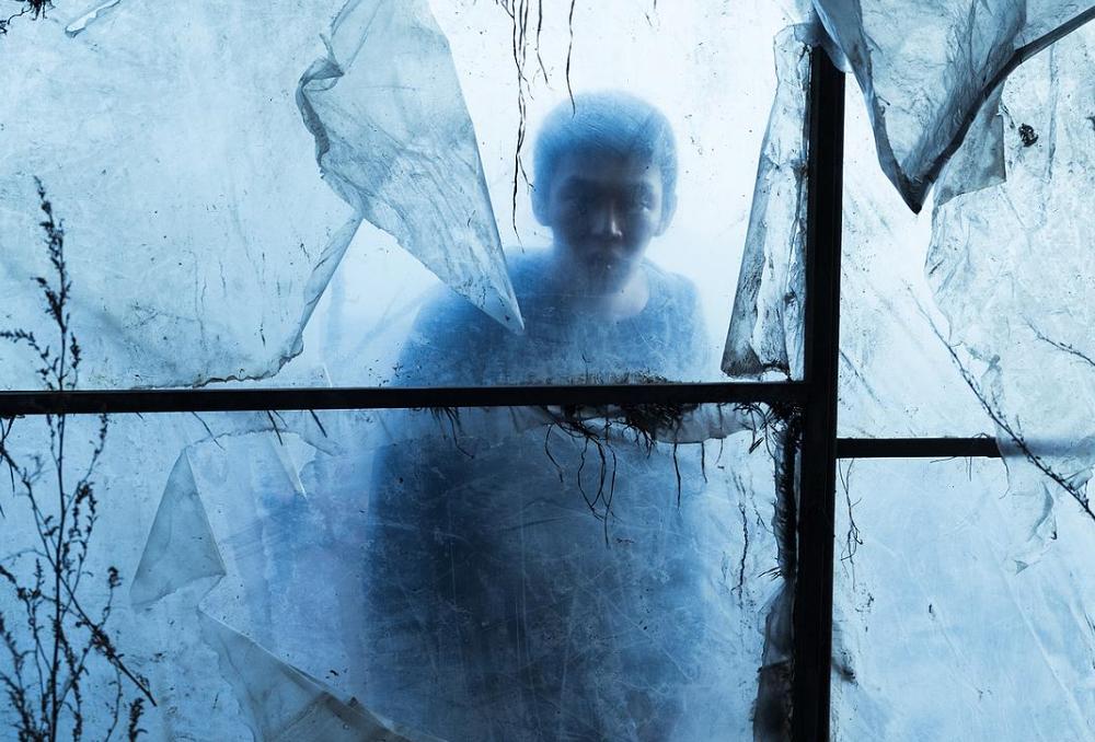 韩国名导李沧东,如何评价韩国导演李沧东