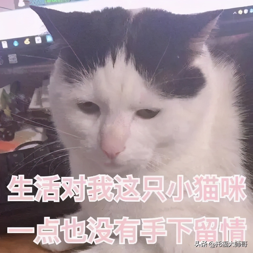 howareyou正确回答方式,美国人说howareyou要怎么回答