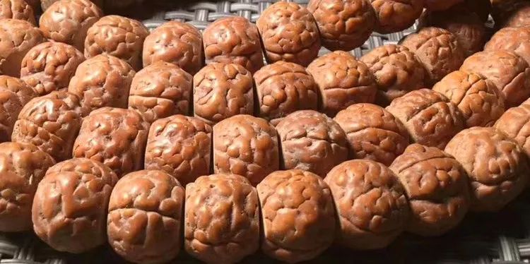 小金刚菩提子各种纹路图片,小金刚菩提的纹路有哪些