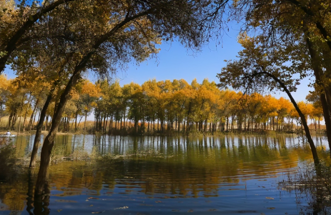 长寿的新疆人喜欢吃什么,中国新疆最长寿老人有何生活特点