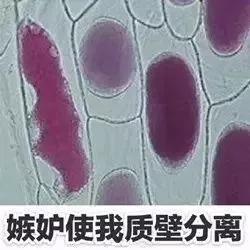 为什么数学学起来很累,数学学的好有成就感