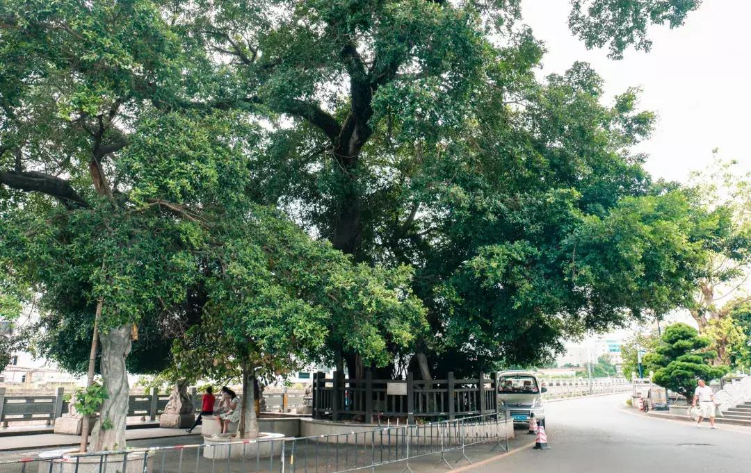 观澜到底有多强,观澜为什么消费很低