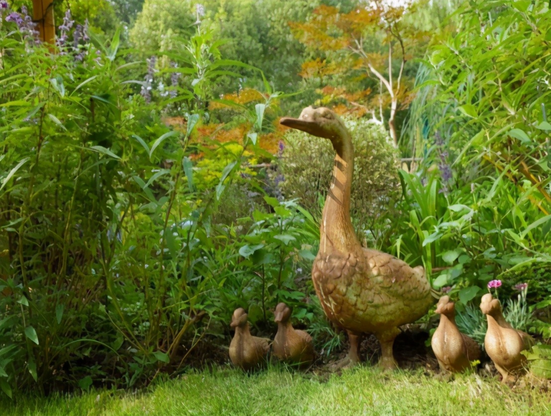 她40岁退休隐居,她40岁退休隐居无儿无女