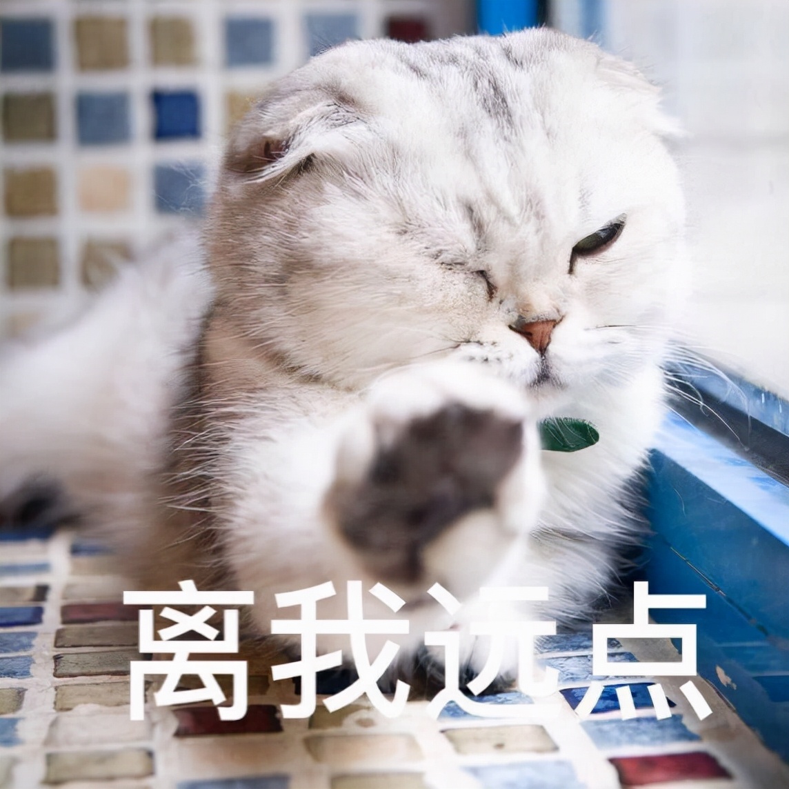 不同类型的肖战,不同的青春肖战