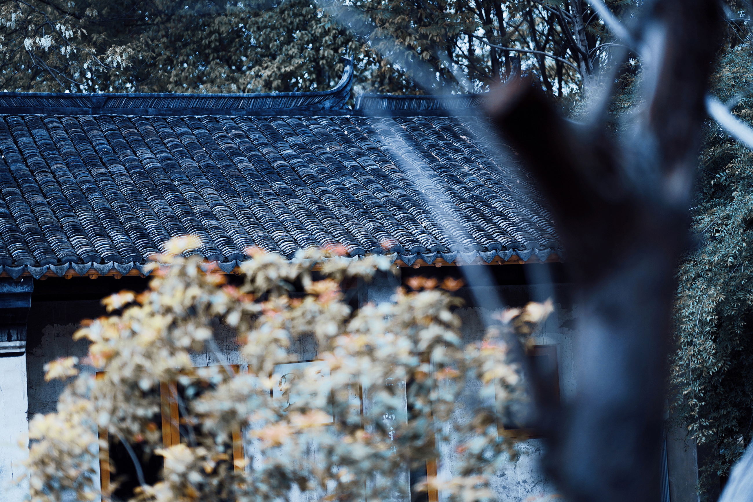 送你一份不走寻常路的苏州攻略，田园风民宿+文艺小清新打卡地