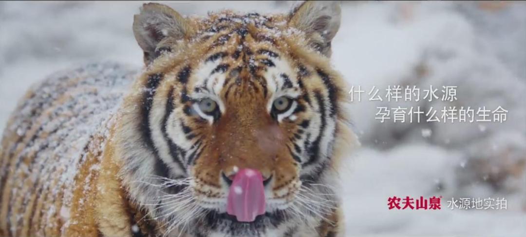 农夫山泉天然矿泉水系列产品大全,农夫山泉品牌有天然矿泉水吗