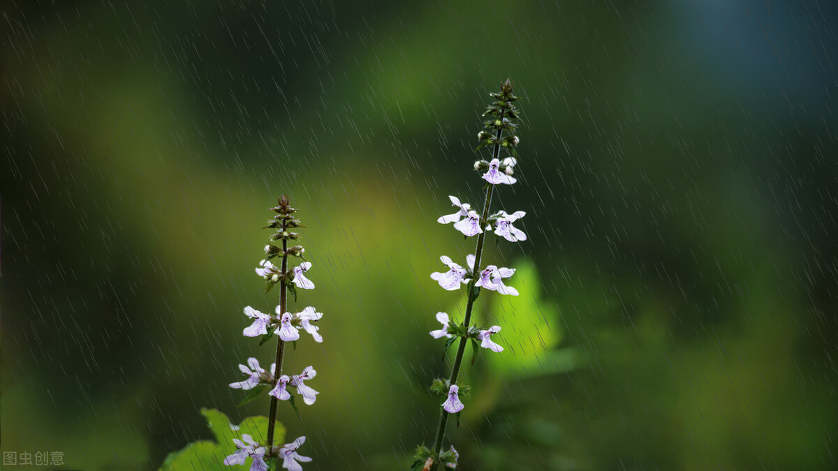 人到中年沉默寡言,人到中年沉默寡言的意思