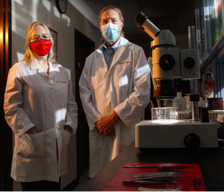 单纯疱疹病毒感染疫苗,疱疹病毒疫苗效果如何