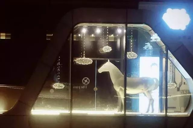 单身狗保护条例,单身狗防伤害地图指南