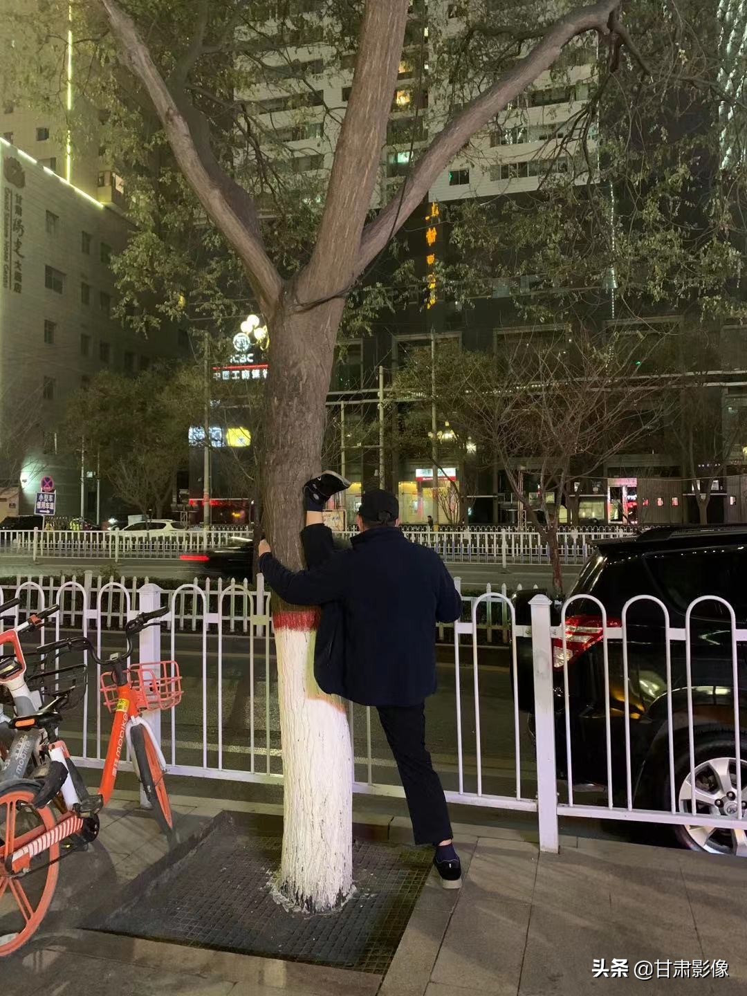 告别2021年的夏天手机摄影,简单手机摄影2020不平凡的一年