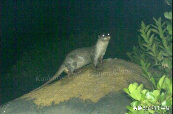 五月的最后一天是星期几,五月的第三个星期天是什么节日