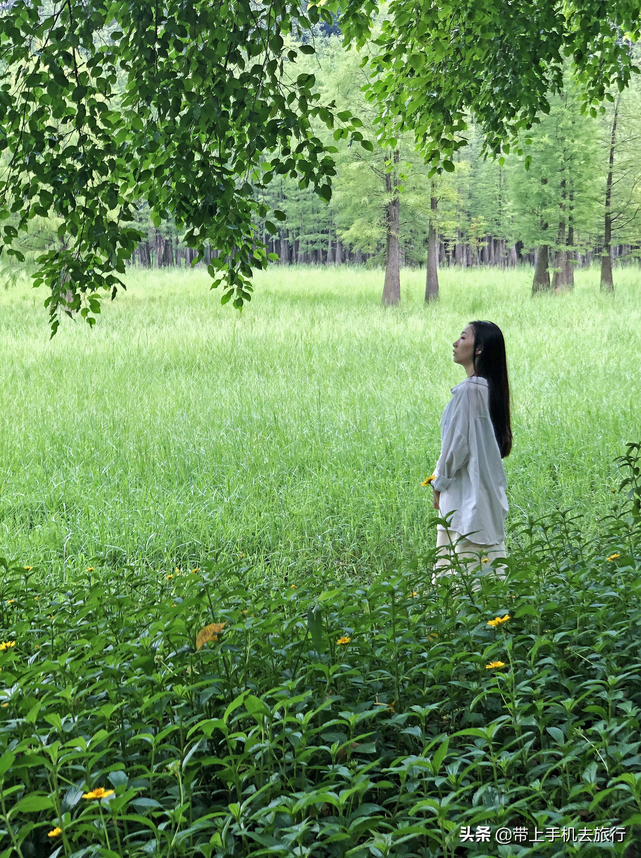 手机拍照是竖的好还是横的好,手机拍照横着和竖着的比例