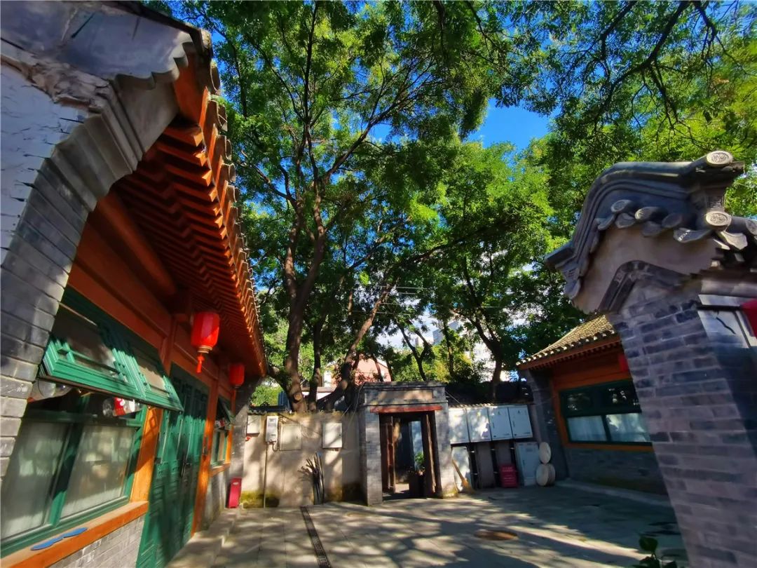 推动老城区旧貌换新颜,推进新老城区品质功能提升