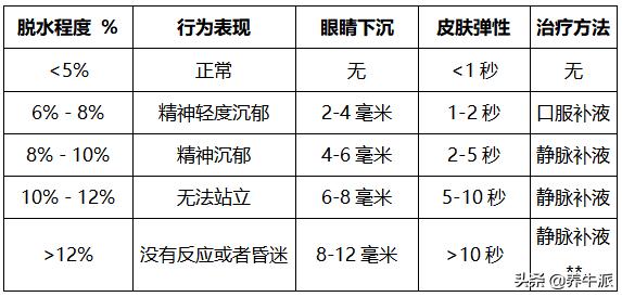 犊牛脱水的补水法,如何判断牛犊脱水